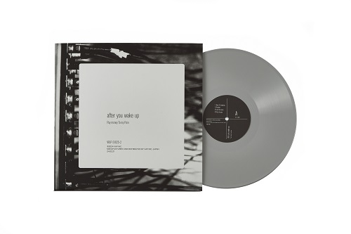 Pay money To my Pain Vinyl COMPLETE BOXiLPjVAP STORE / SY_3